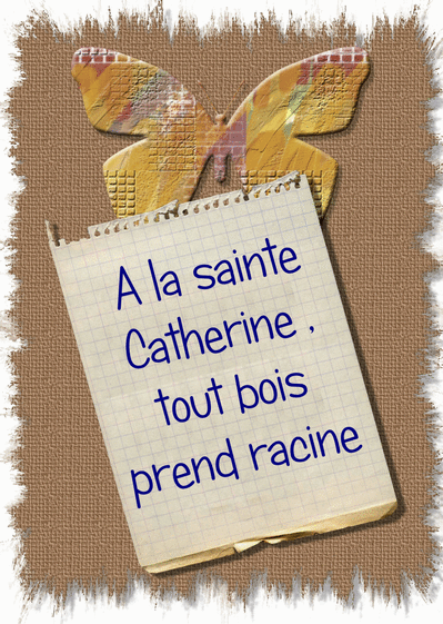 Carte Tout Bois Prend Racine : Envoyer une Carte Sainte 